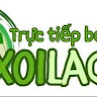 xoilacad2